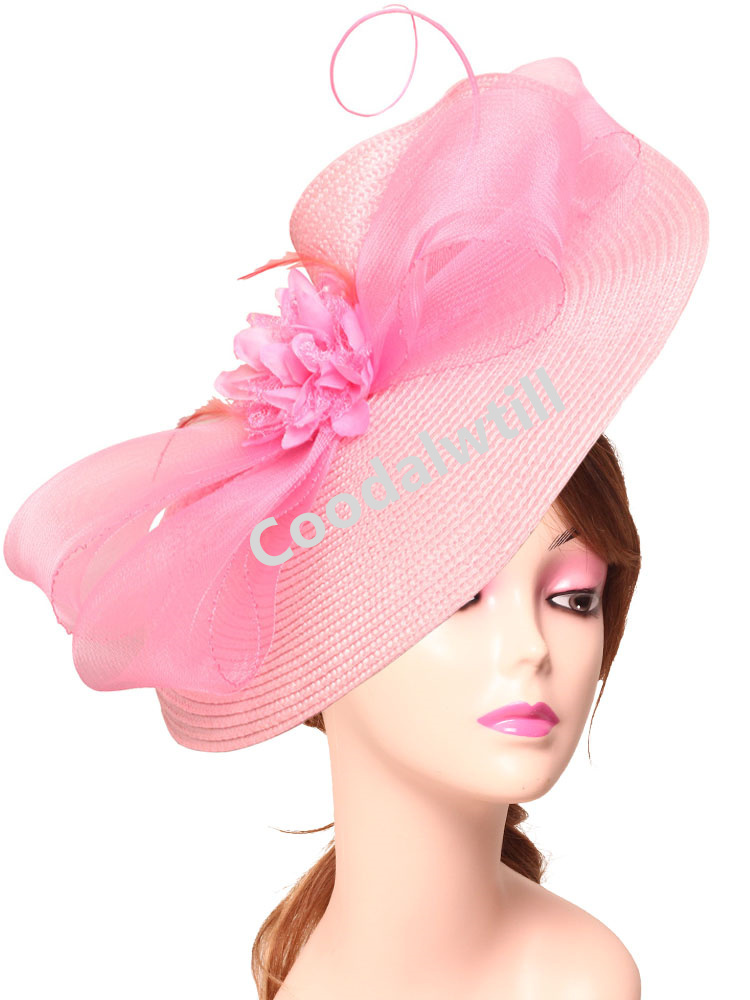 Elegant Tea Party Fascinator P - Women'S Fashion Kentucky Derby のレビューと価格