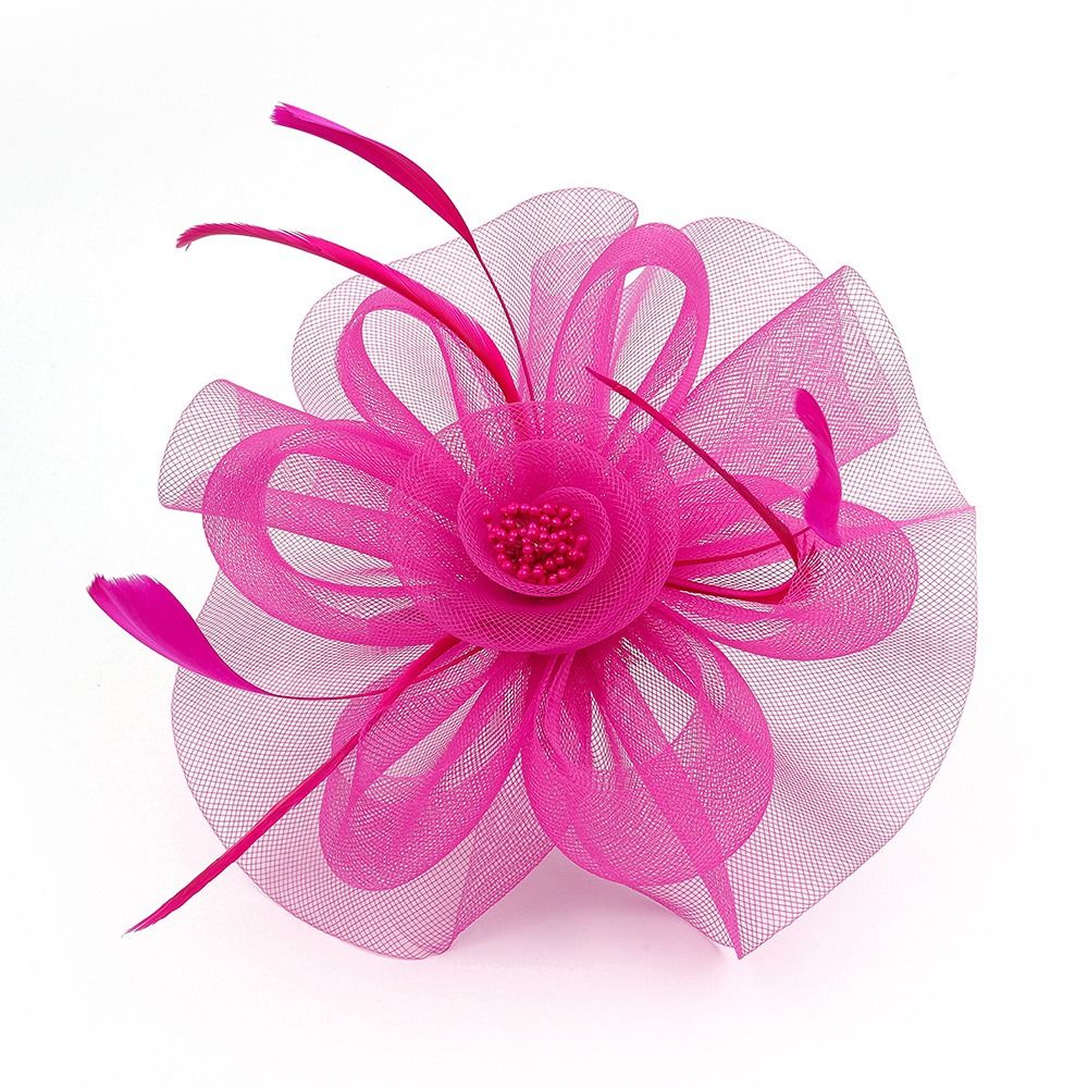 Feathers Ribbon Fascinator Hat - Women'S Fashion Kentucky Derby のレビューと価格